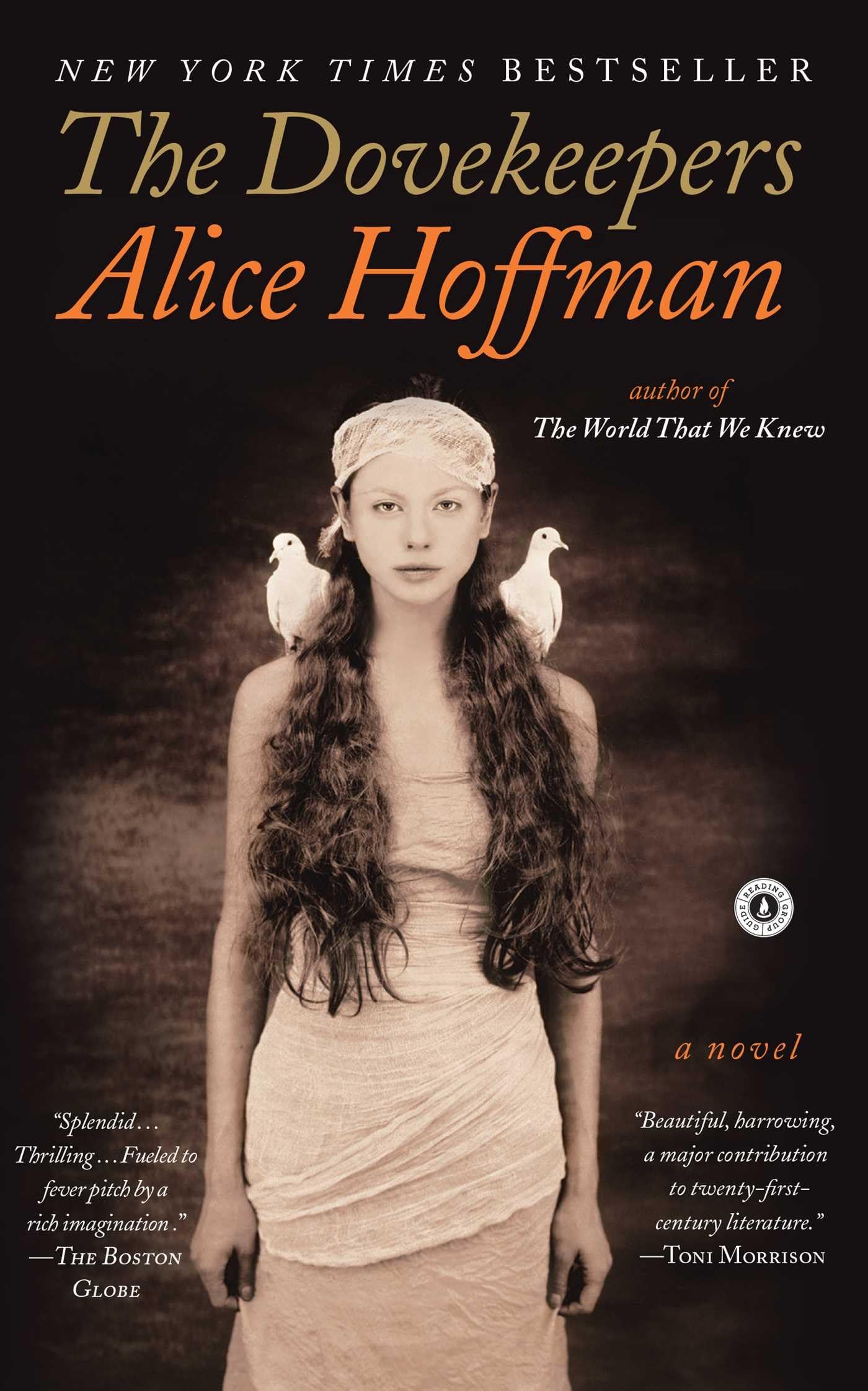 Dovekeepers book cover