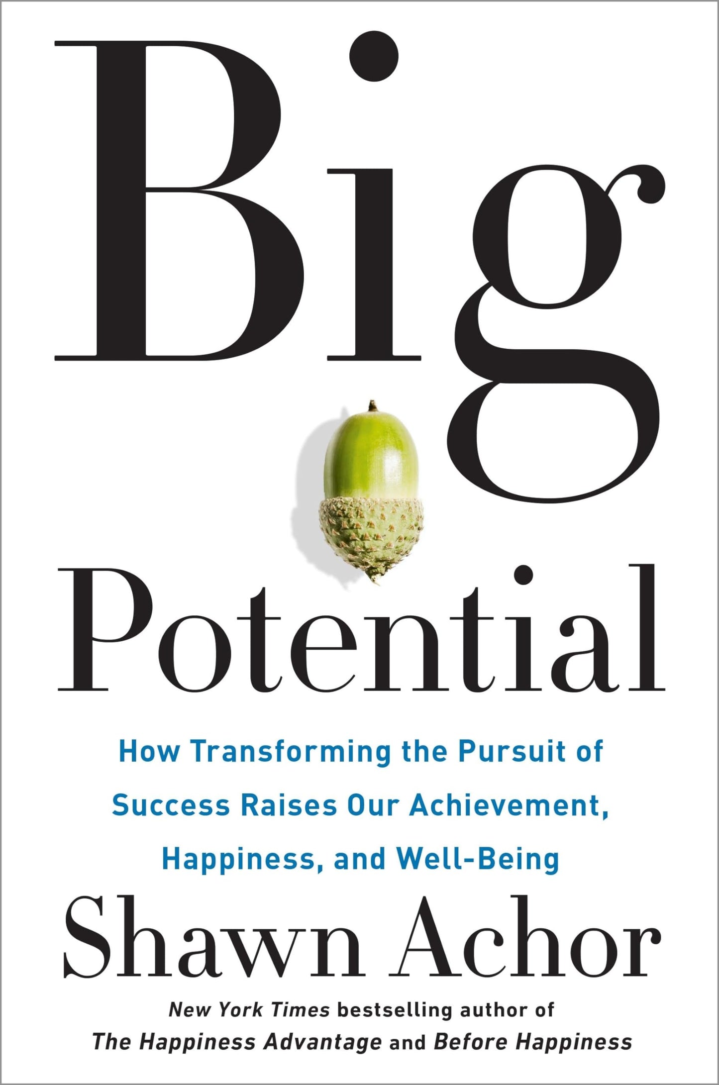 Big Potential: How Transforming the Pursuit of Success Raises Our Achievement, Happiness, and Well-Being book cover