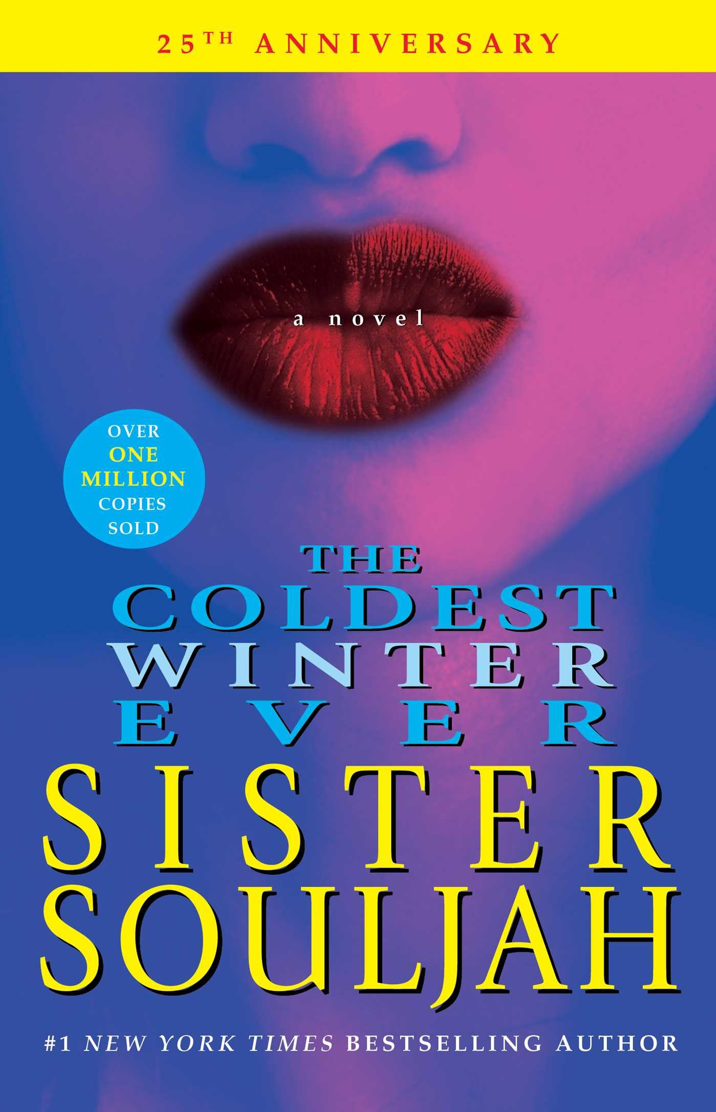 Coldest Winter Ever book cover