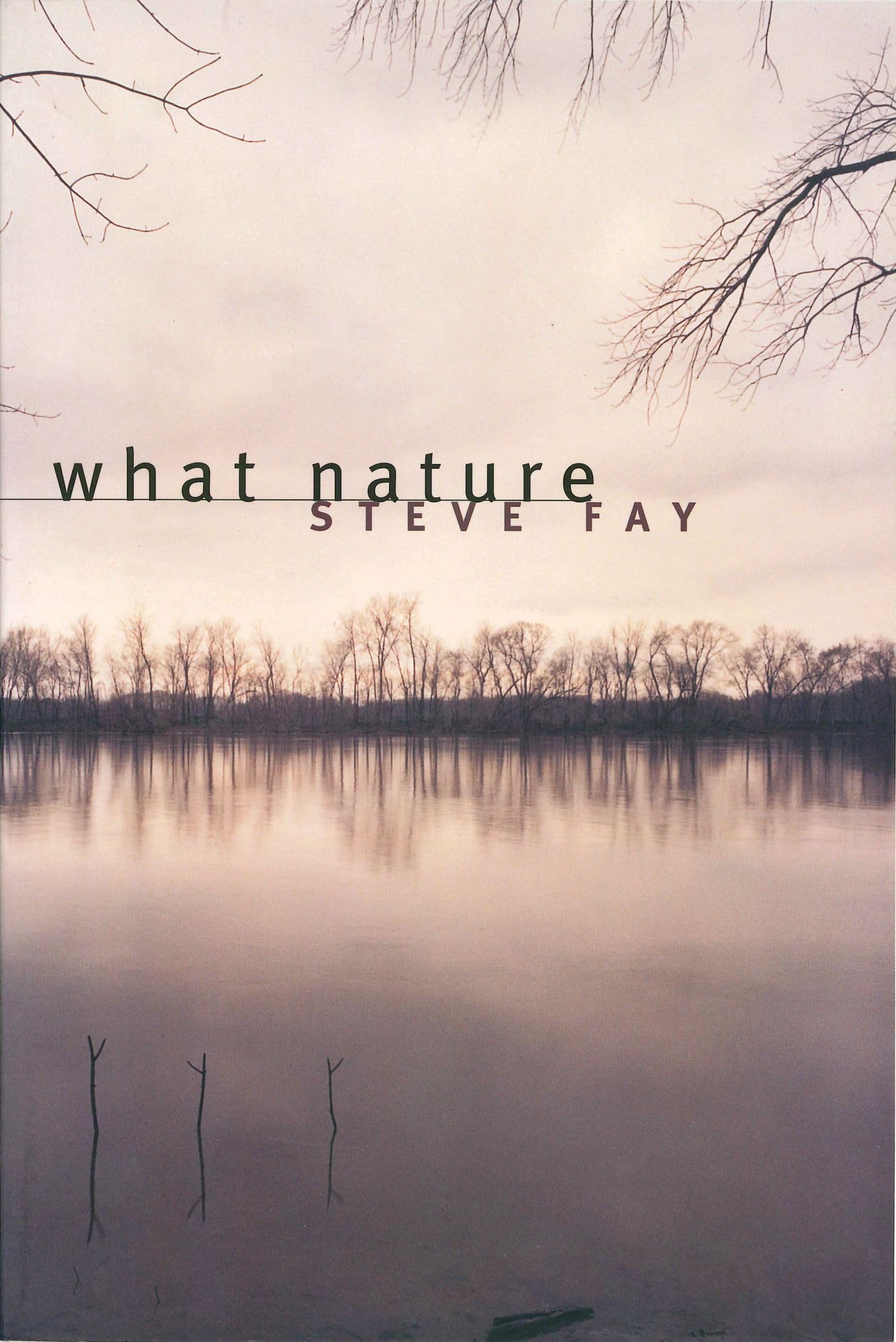 What Nature: Poems book cover