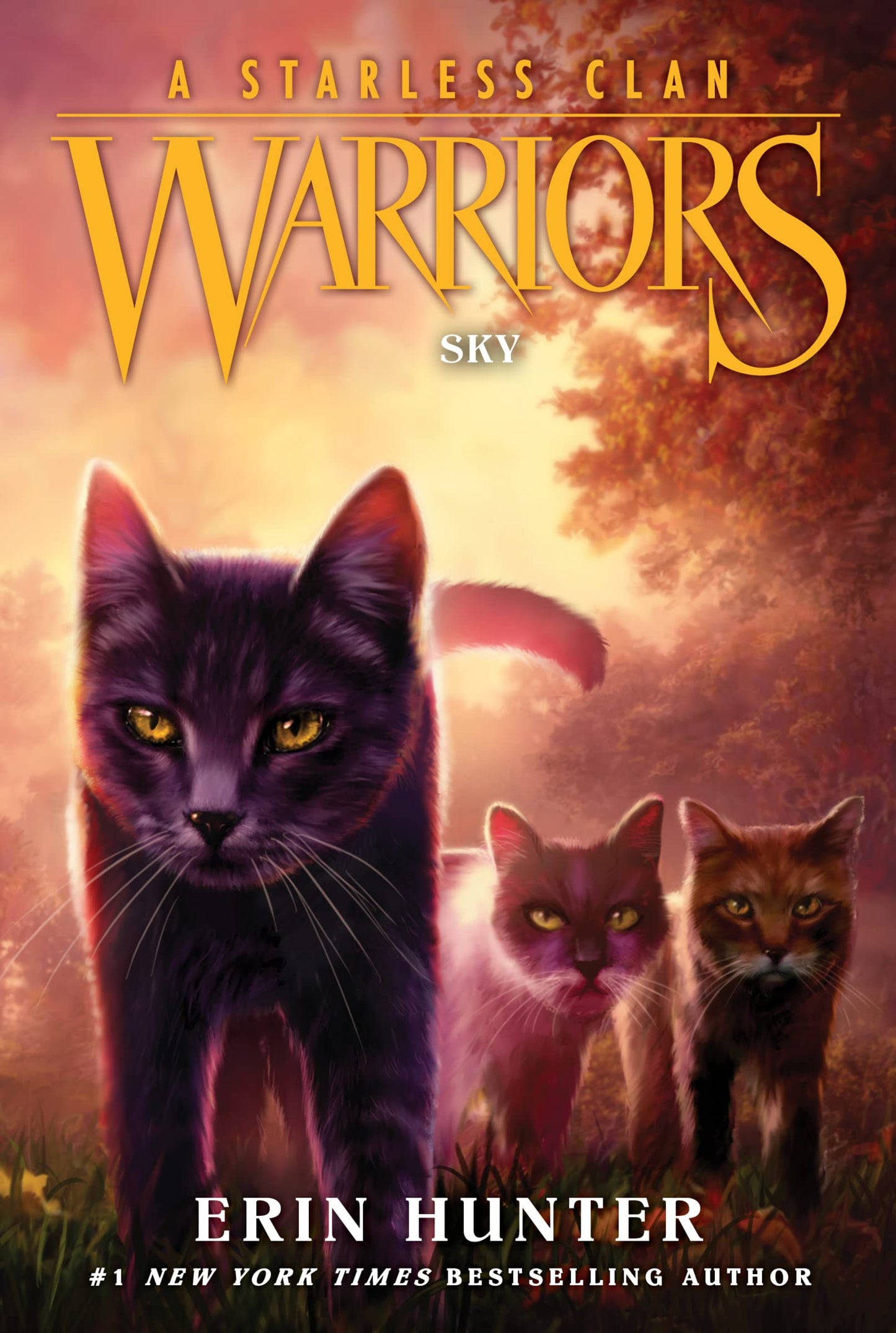 Sky book cover