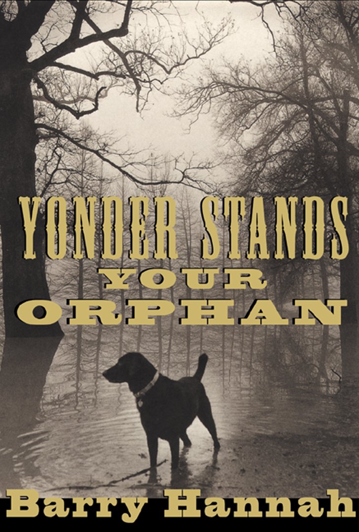 Yonder Stands Your Orphan book cover