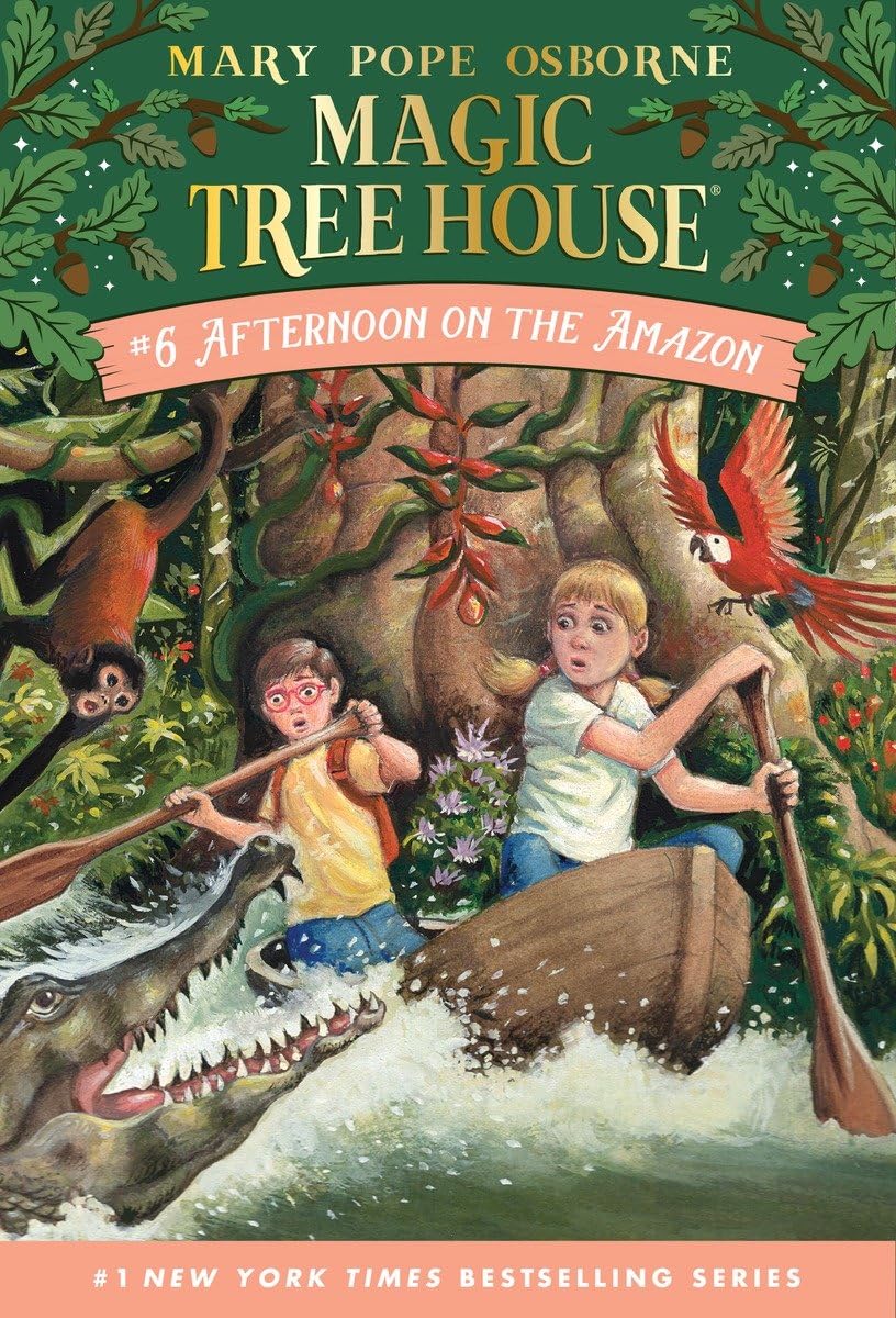 Afternoon on the Amazon book cover