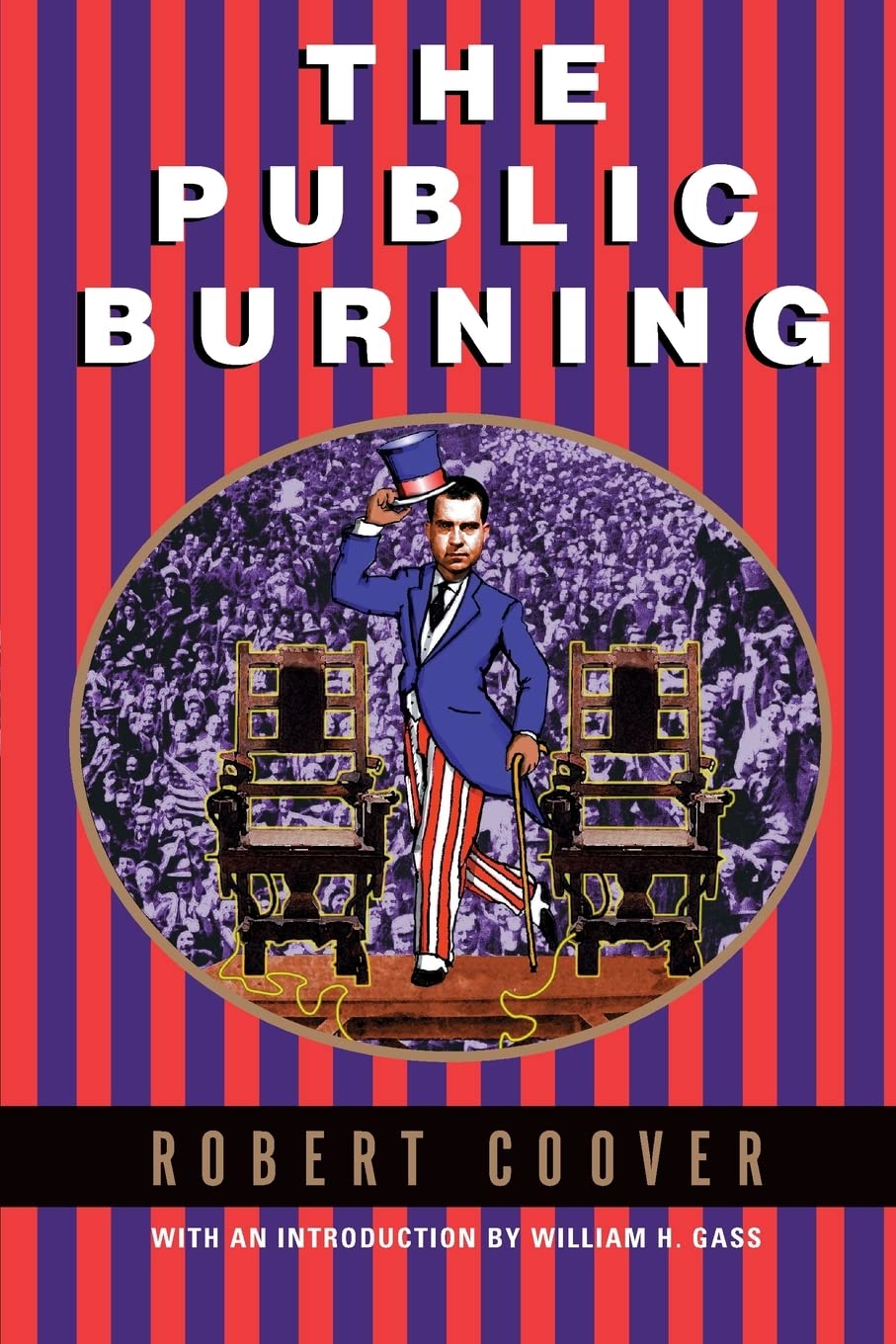 The Public Burning book cover