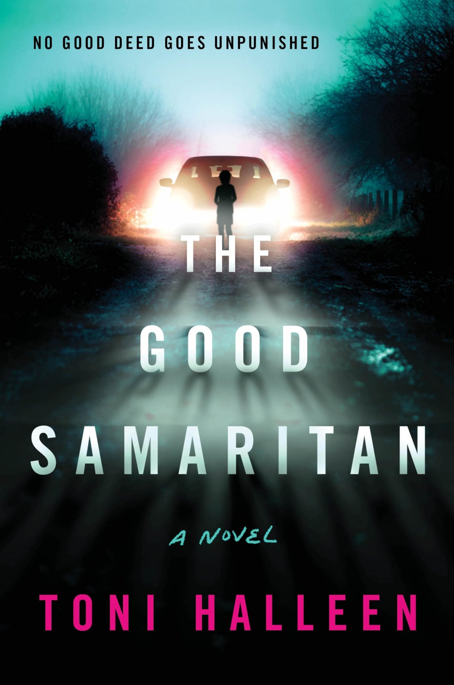 Good Samaritan book cover