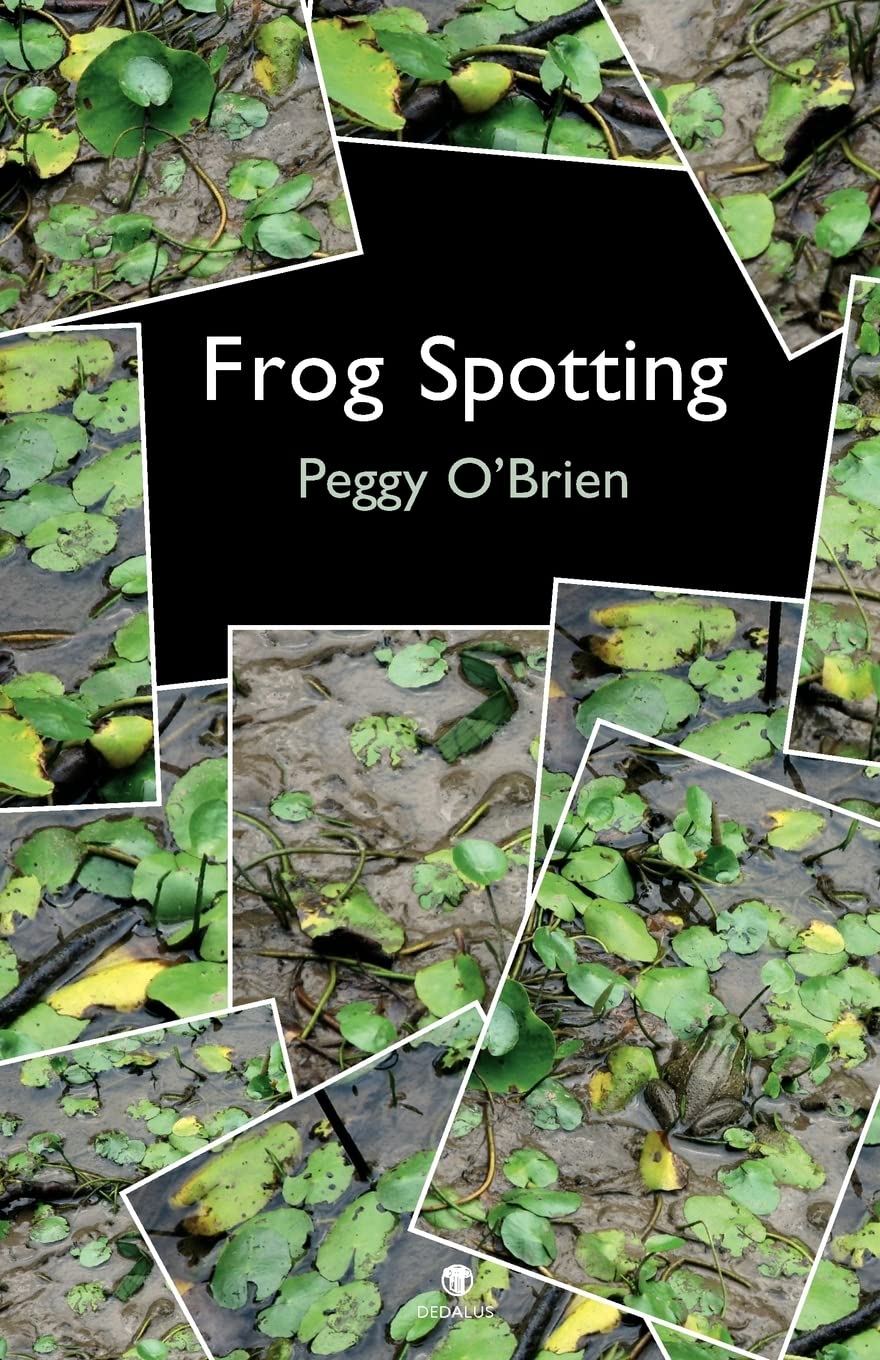 Frog Spotting book cover