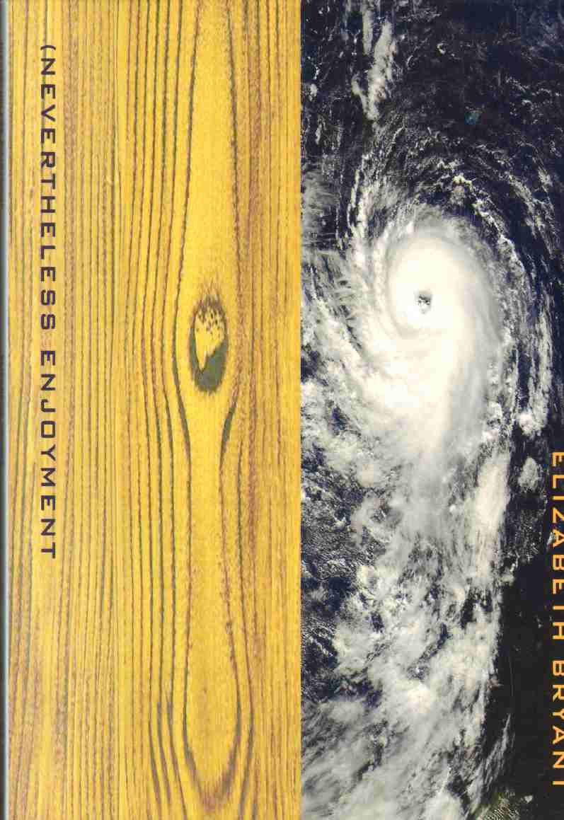 (nevertheless Enjoyment book cover