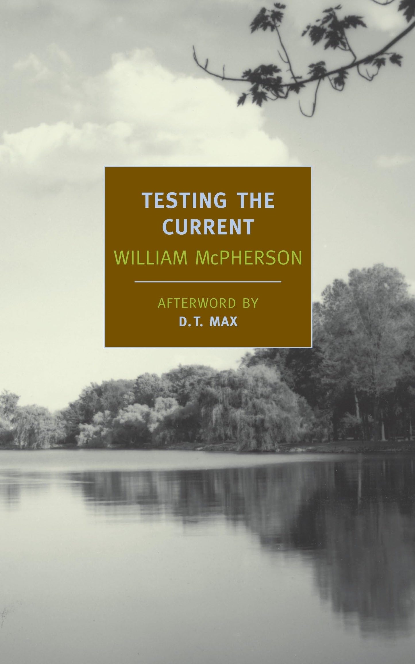 Testing the Current book cover