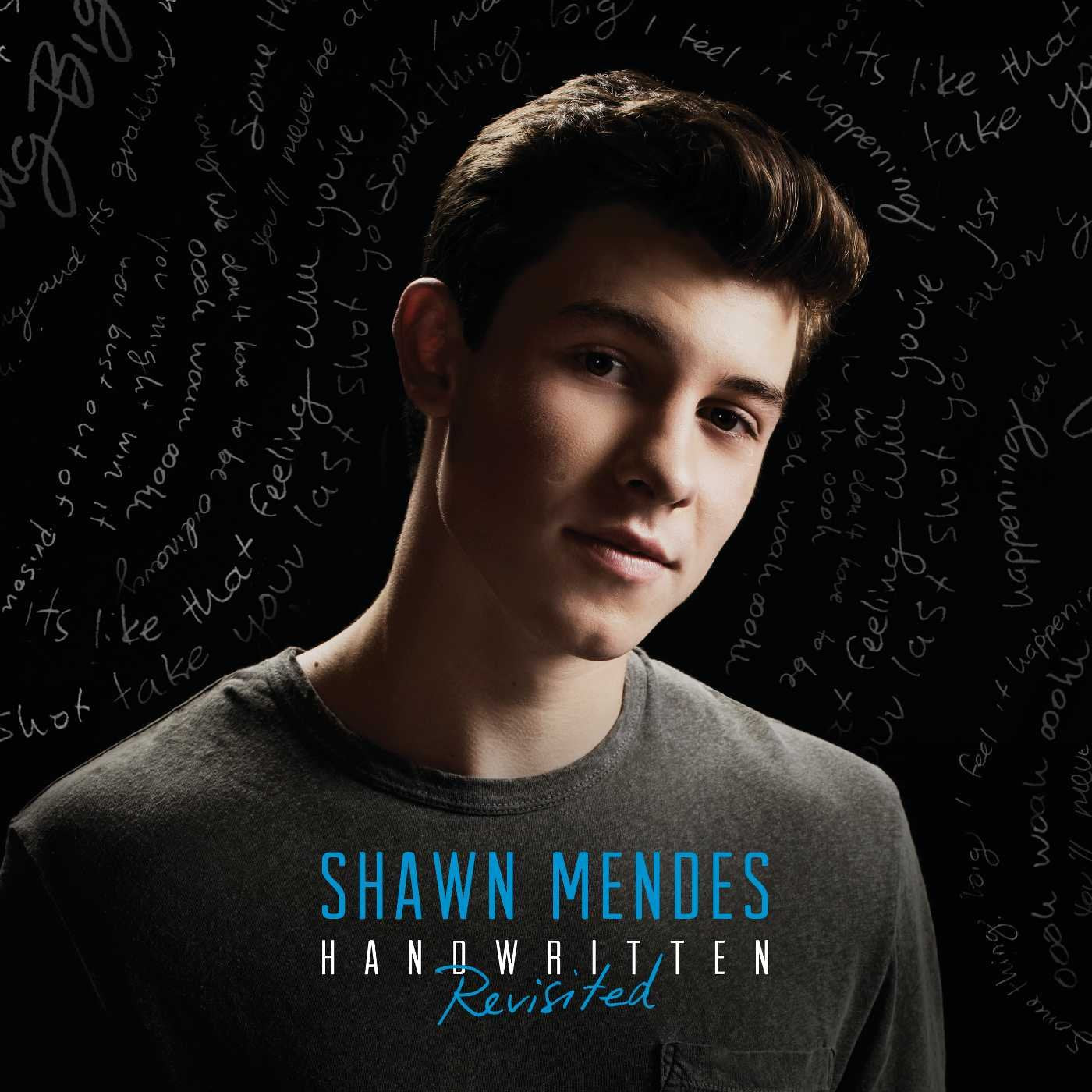 Handwritten Revisited