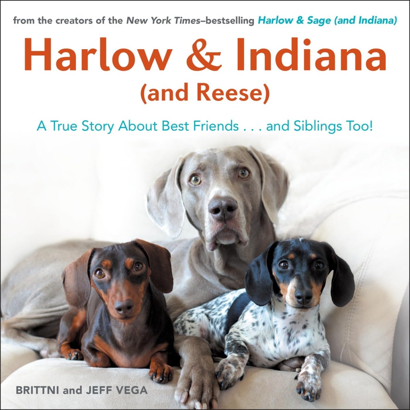 Harlow & Indiana (and Reese): A True Story about Best Friends...and Siblings Too! book cover
