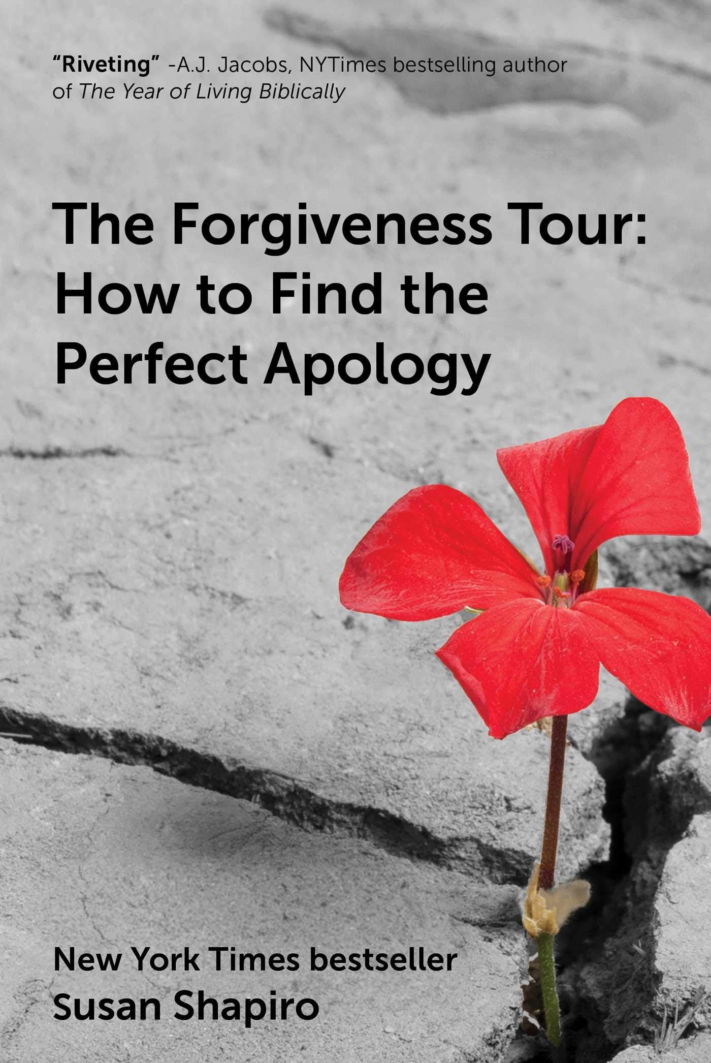 Forgiveness Tour: How to Find the Perfect Apology book cover