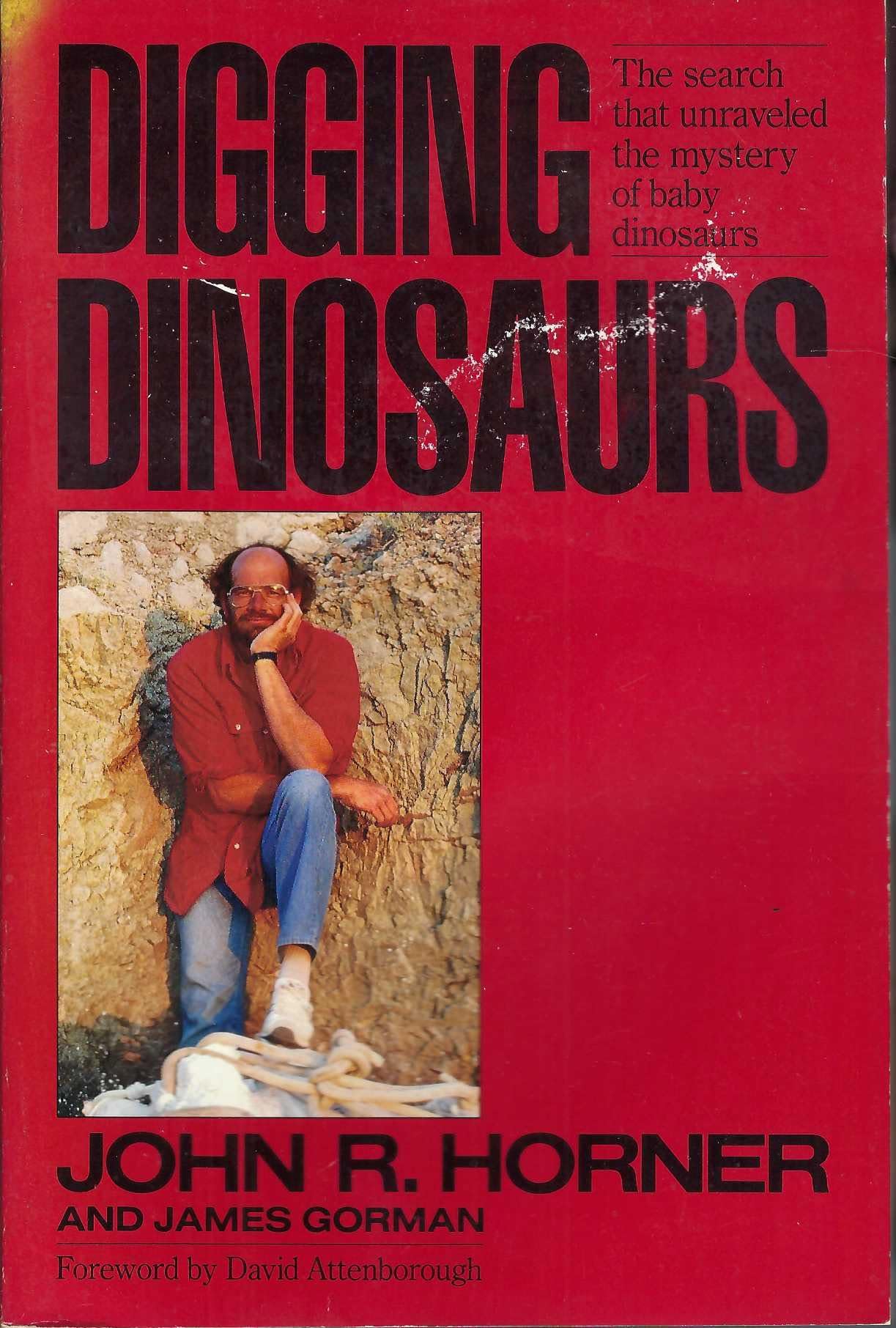 Digging Dinosaurs: The Search That Unraveled the Mystery of Baby Dinosaurs book cover