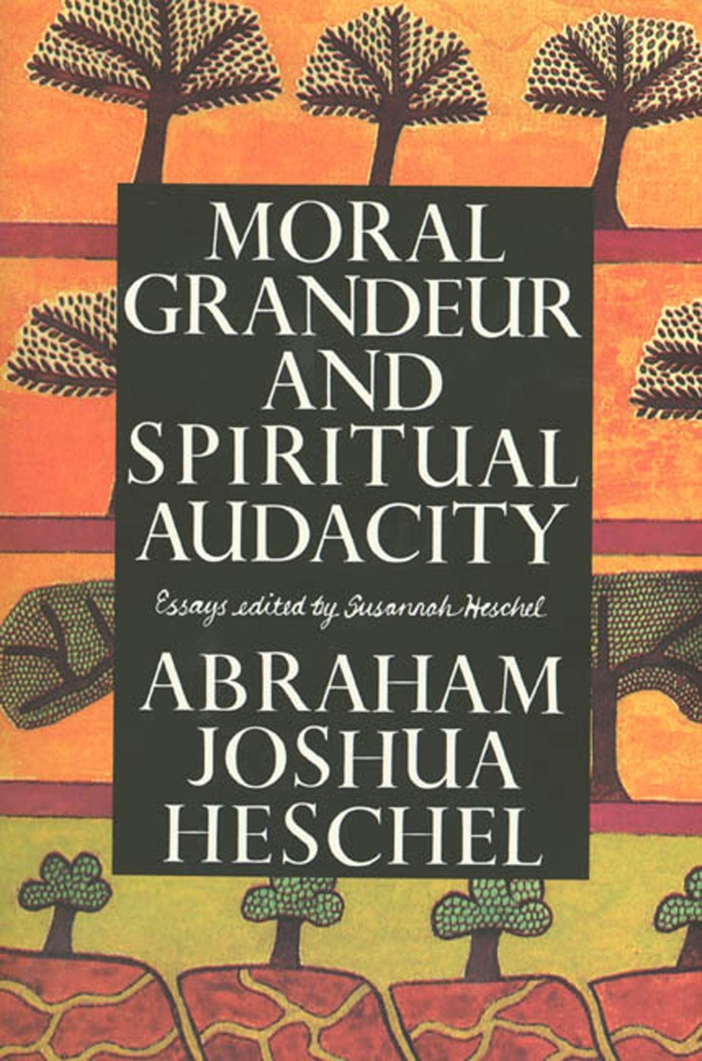 Moral Grandeur and Spiritual Audacity: Essays book cover