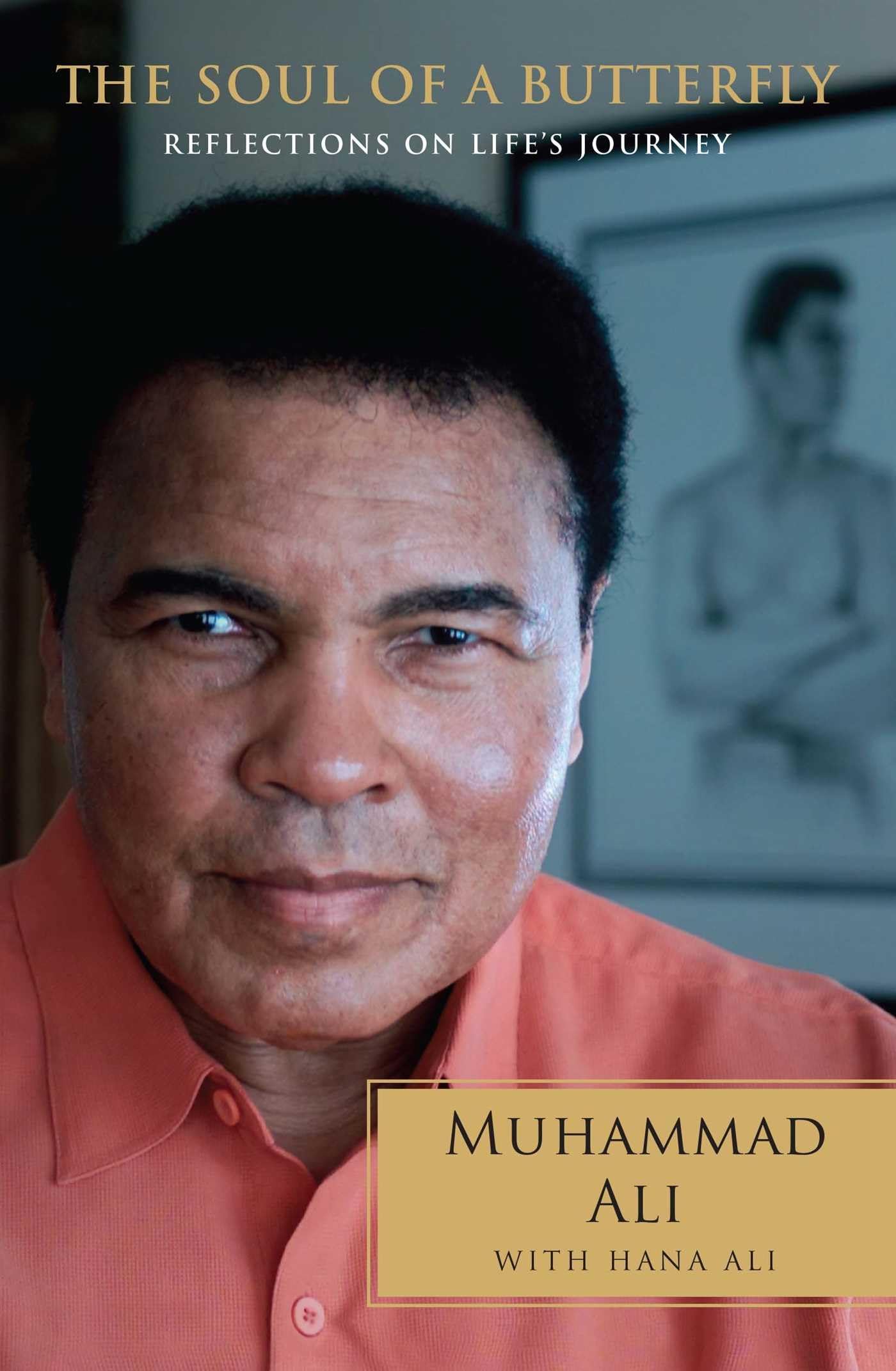 Soul of a Butterfly: Reflections on Life's Journey