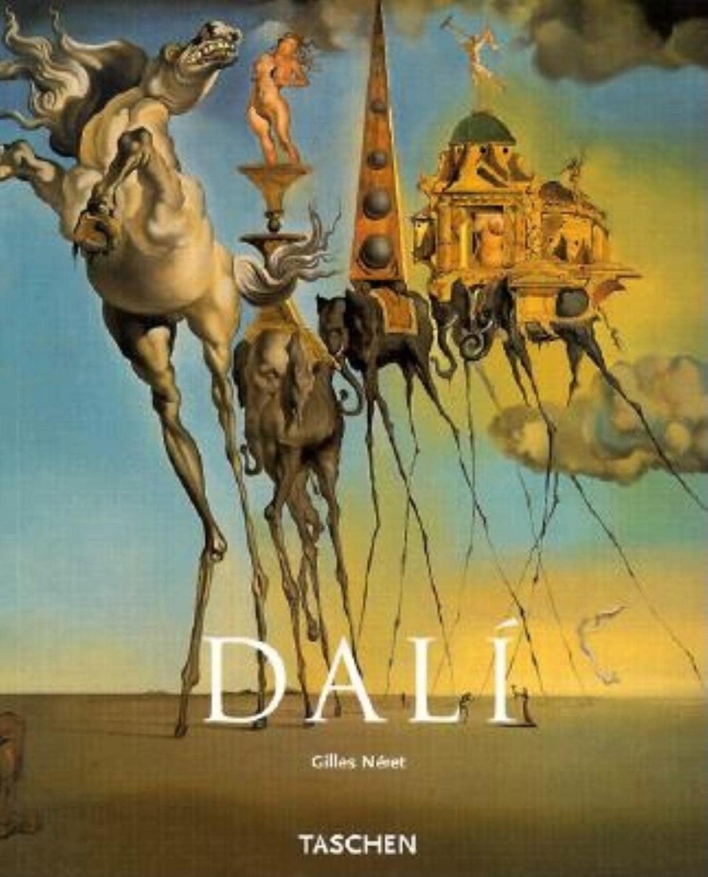 Salvador Dali: 1904-1989 book cover