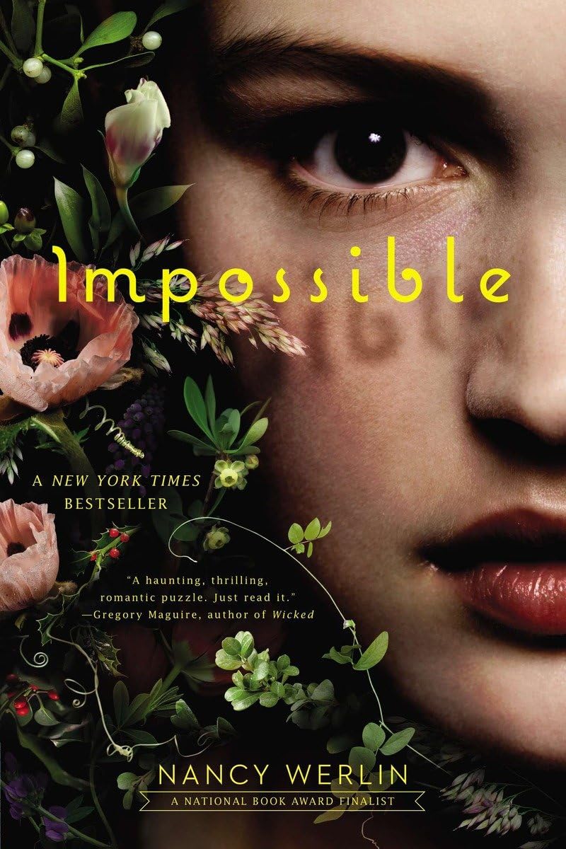 Impossible book cover