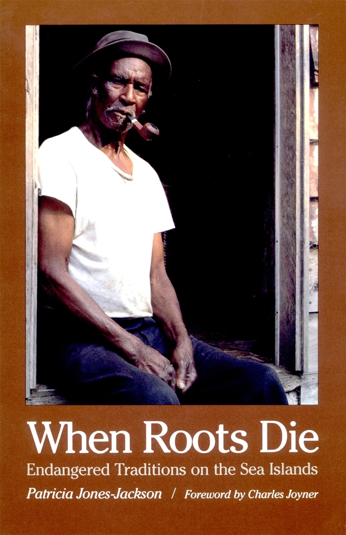 When Roots Die: Endangered Traditions on the Sea Islands book cover