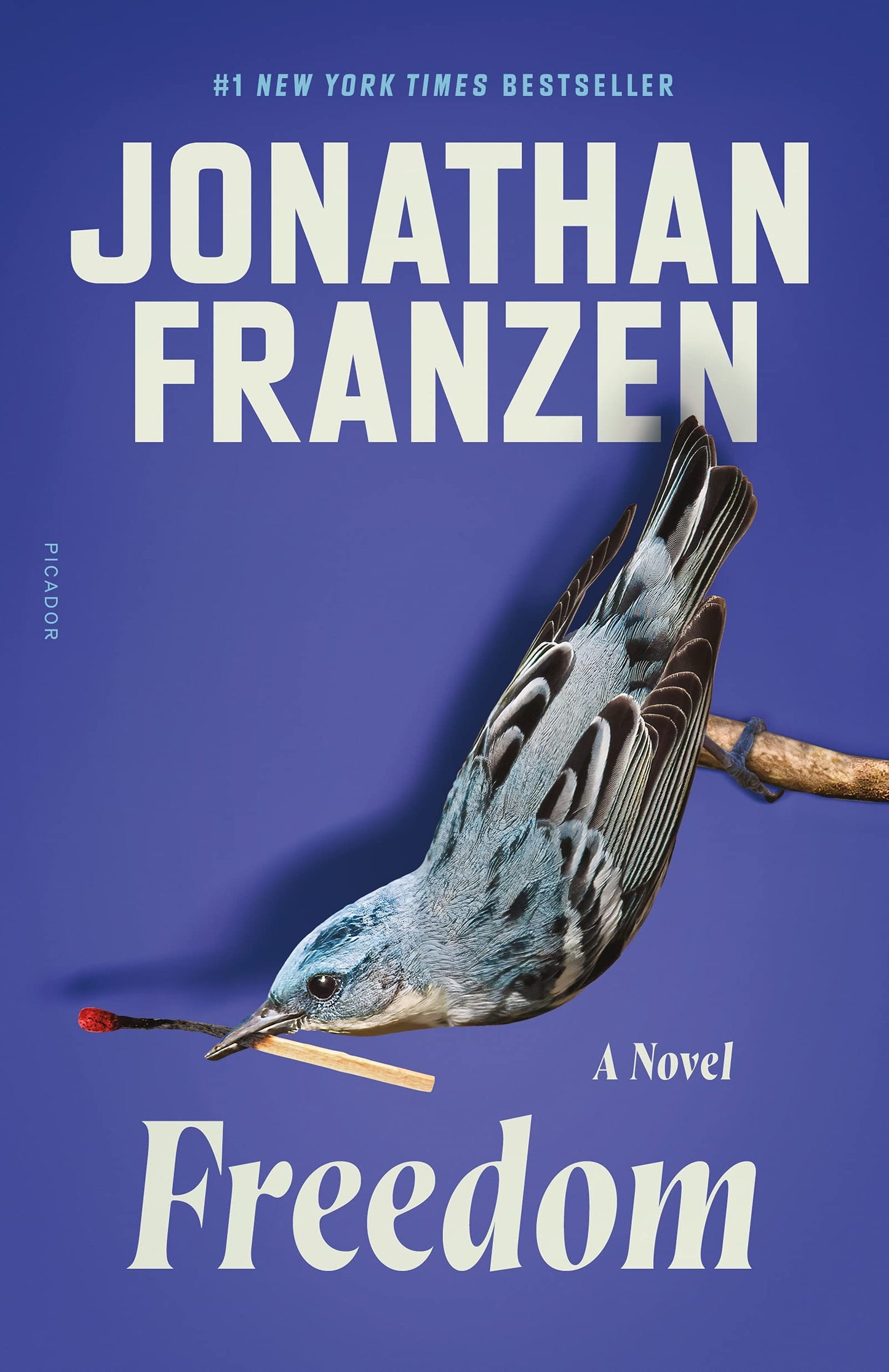 Freedom book cover