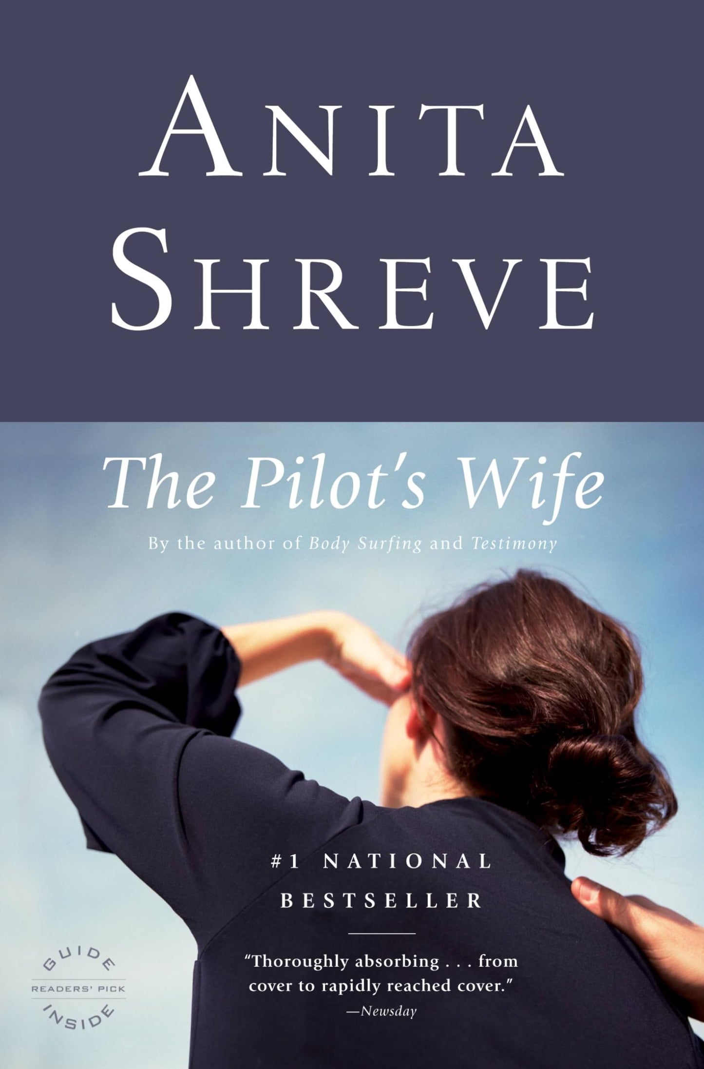 Pilot's Wife book cover