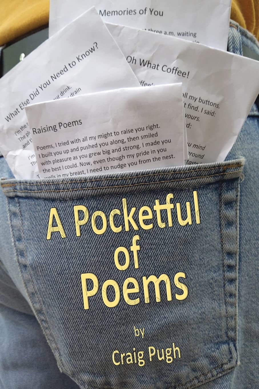 Pocketful of Poems book cover