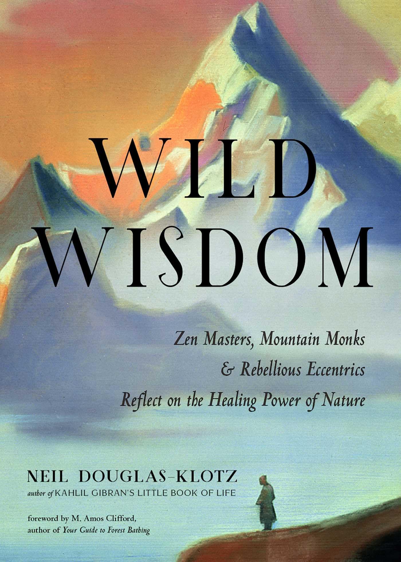 Wild Wisdom: Zen Masters, Mountain Monks, and Rebellious Eccentrics Reflect on the Healing Power of Nature book cover