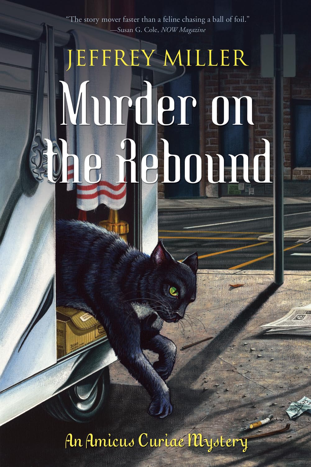 Murder on the Rebound: An Amicus Curiae Mystery book cover