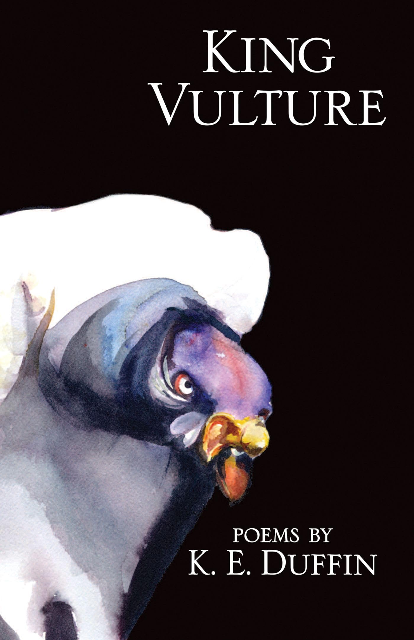 King Vulture: Poems (University of Arkansas Press Poetry)