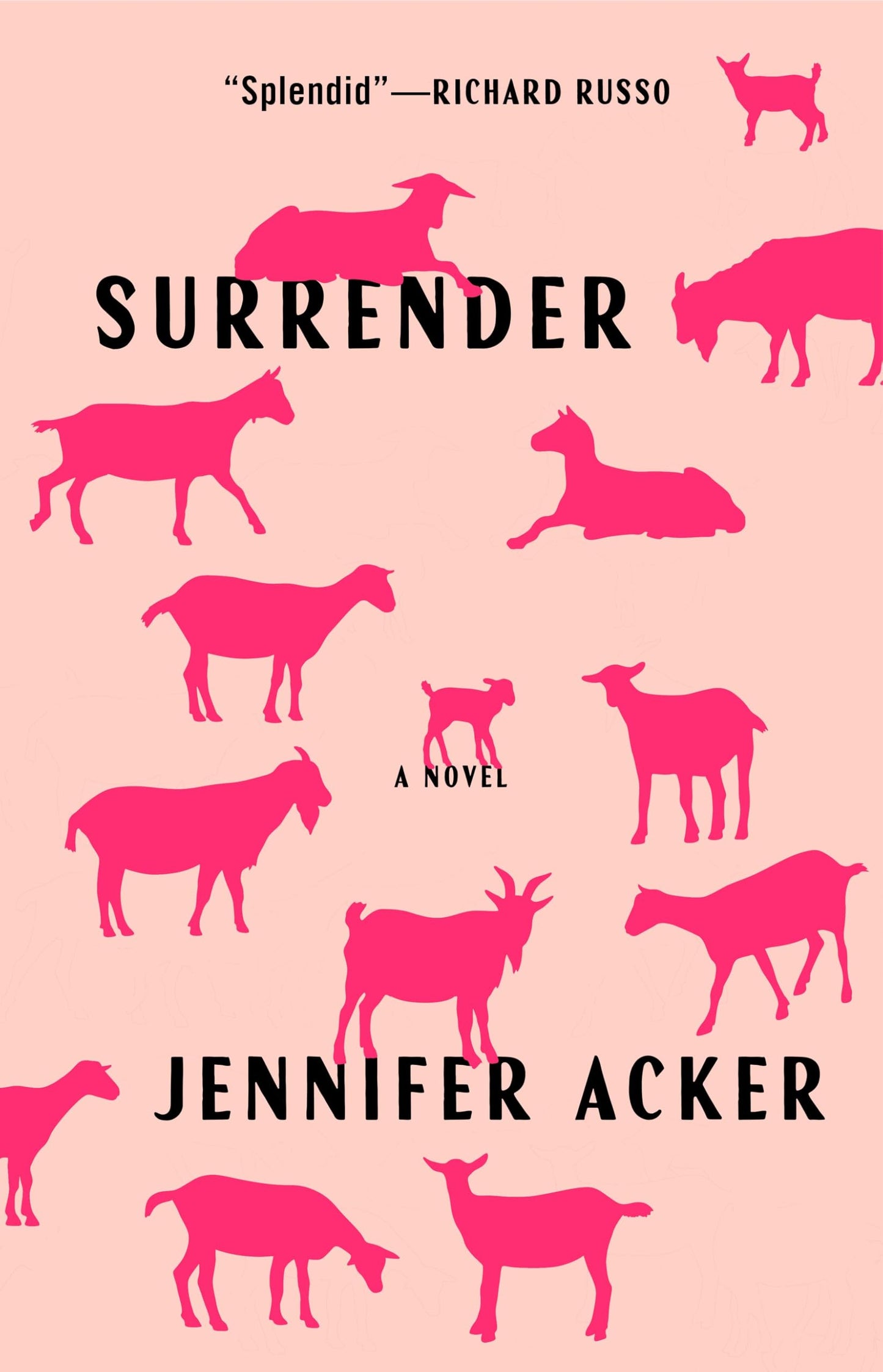 Surrender book cover