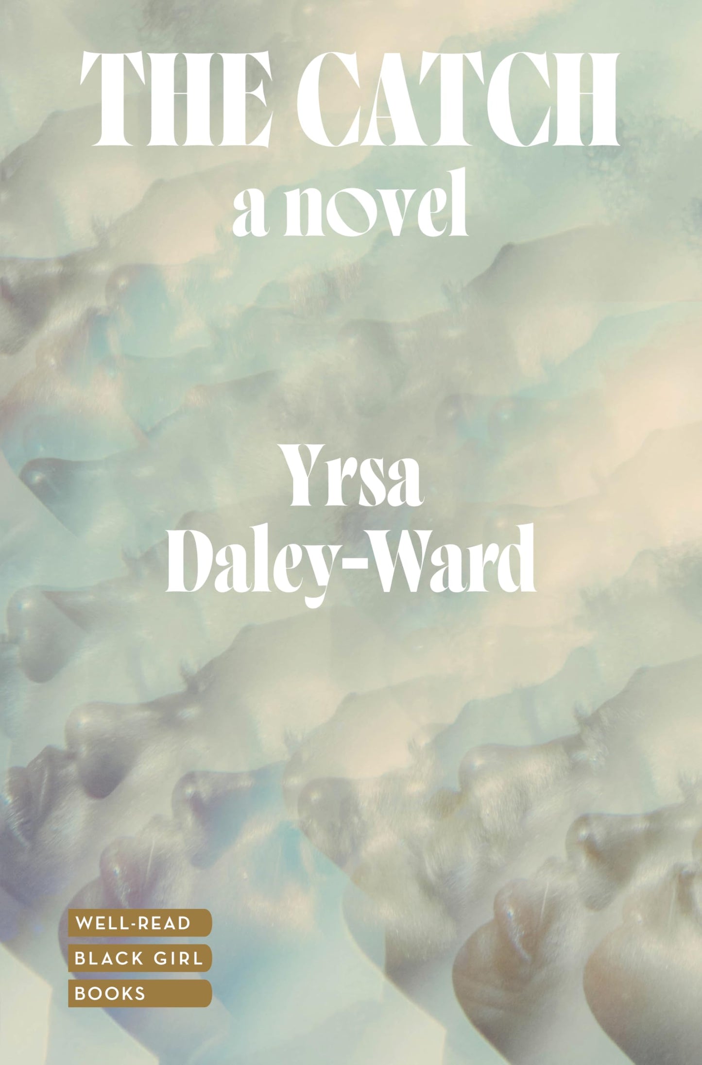 Catch book cover
