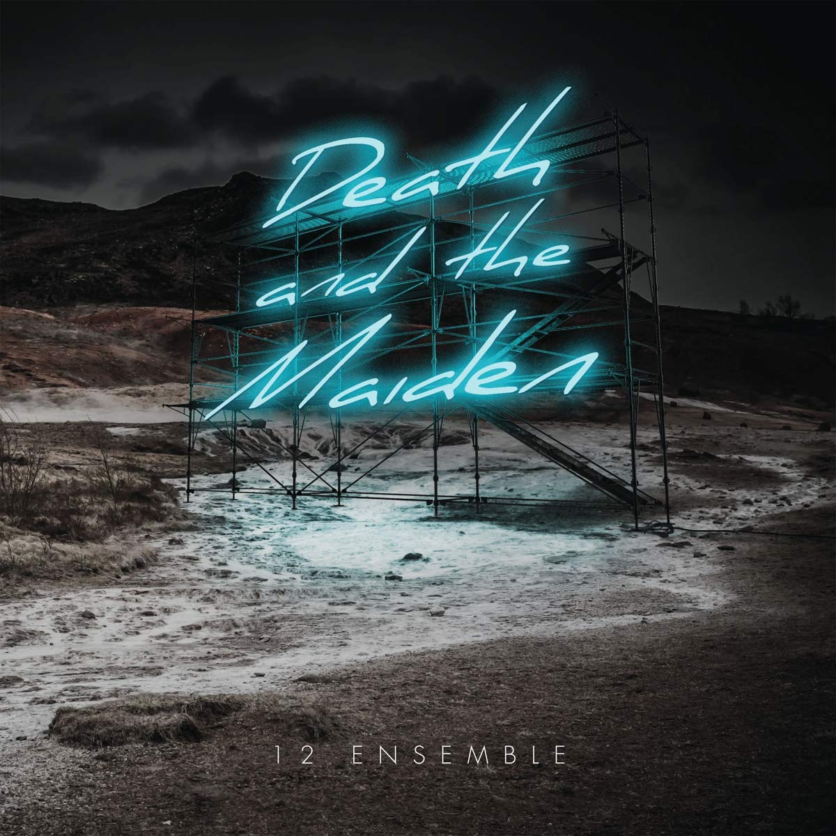 12 Ensemble: Death And The Maiden book cover