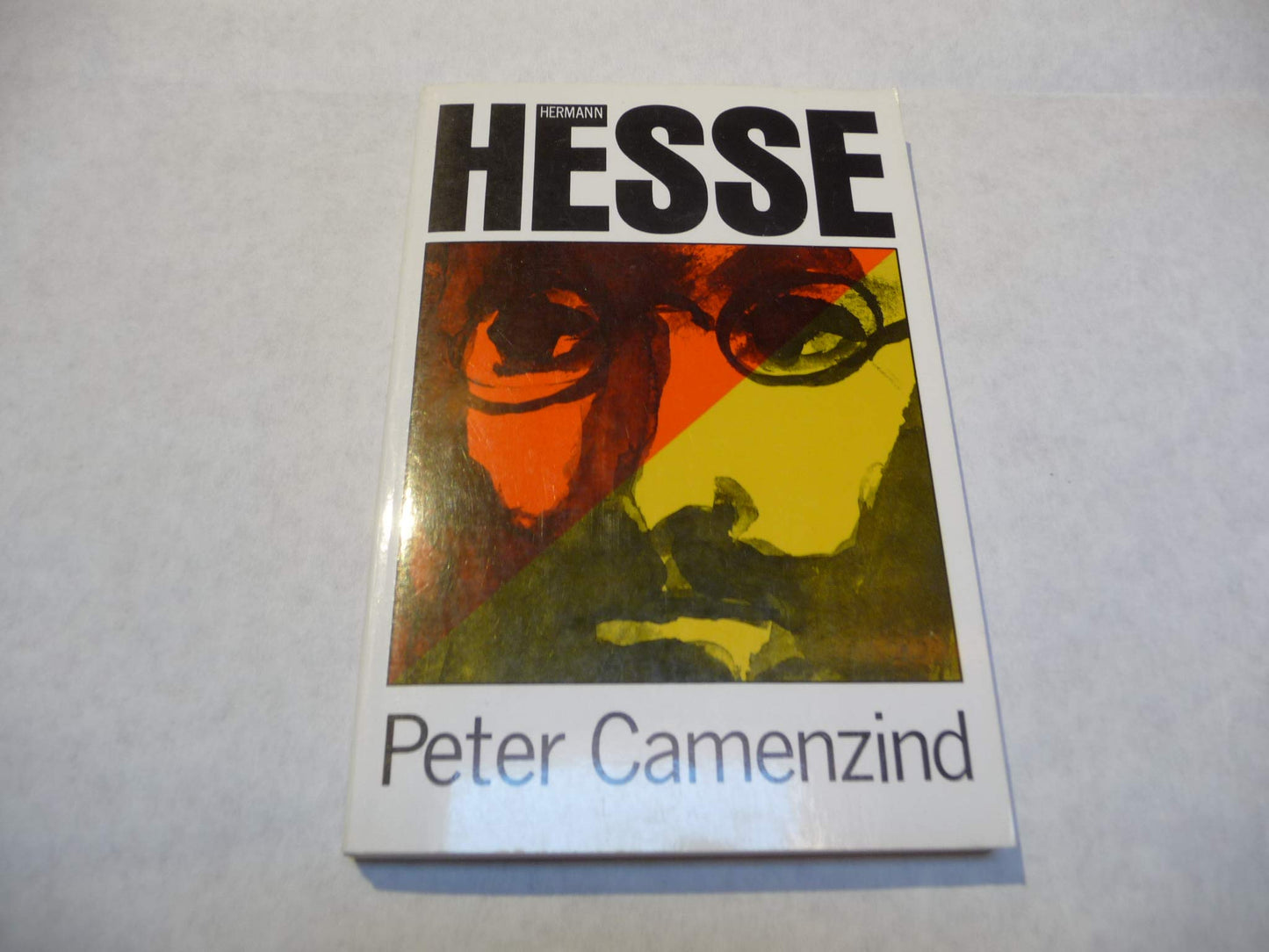 Peter Camenzind: A Novel
