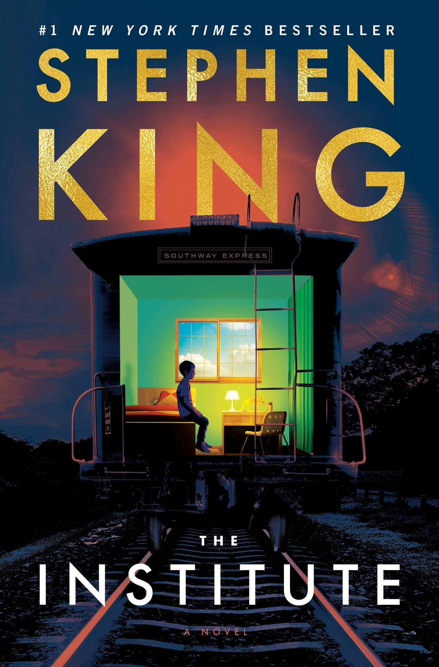 Institute book cover