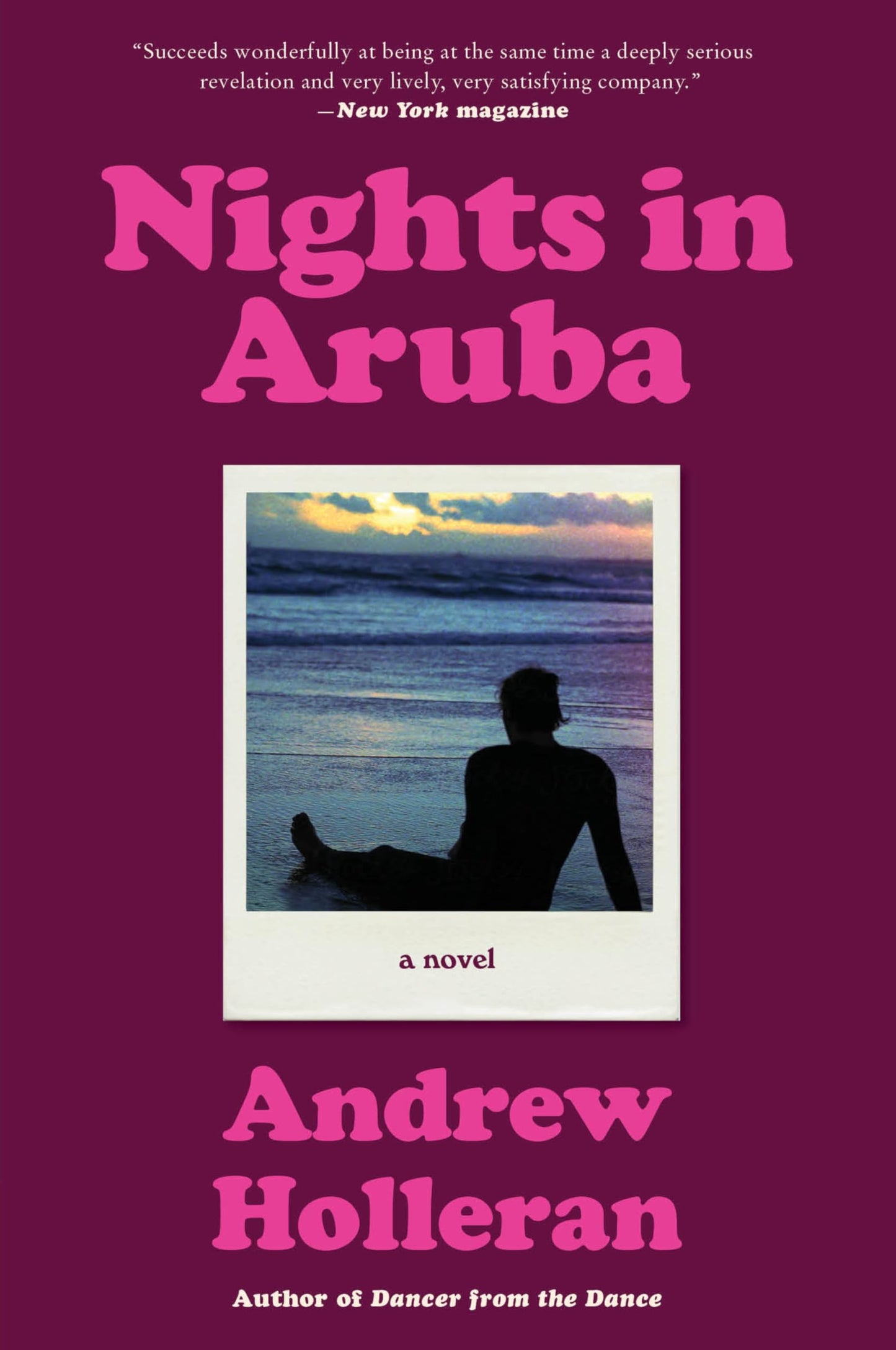 Nights in Aruba book cover