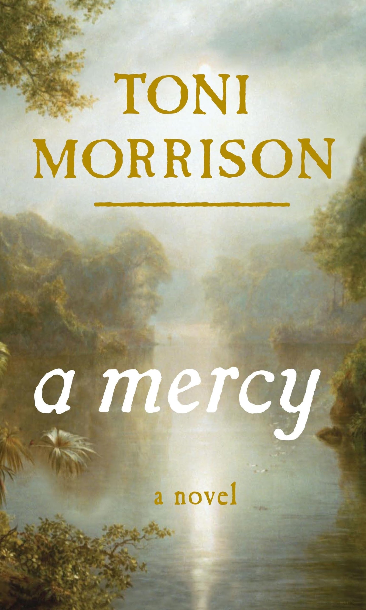 Mercy book cover