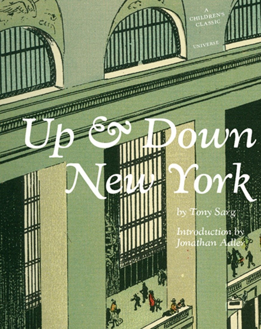 Up & Down New York book cover