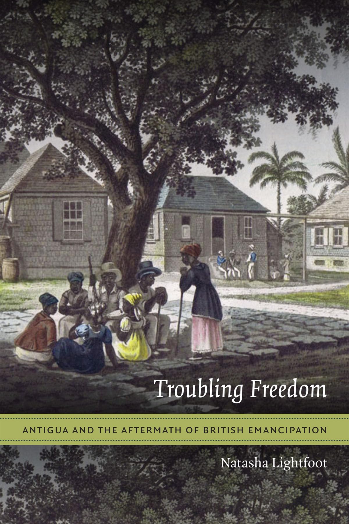 Troubling Freedom: Antigua and the Aftermath of British Emancipation book cover