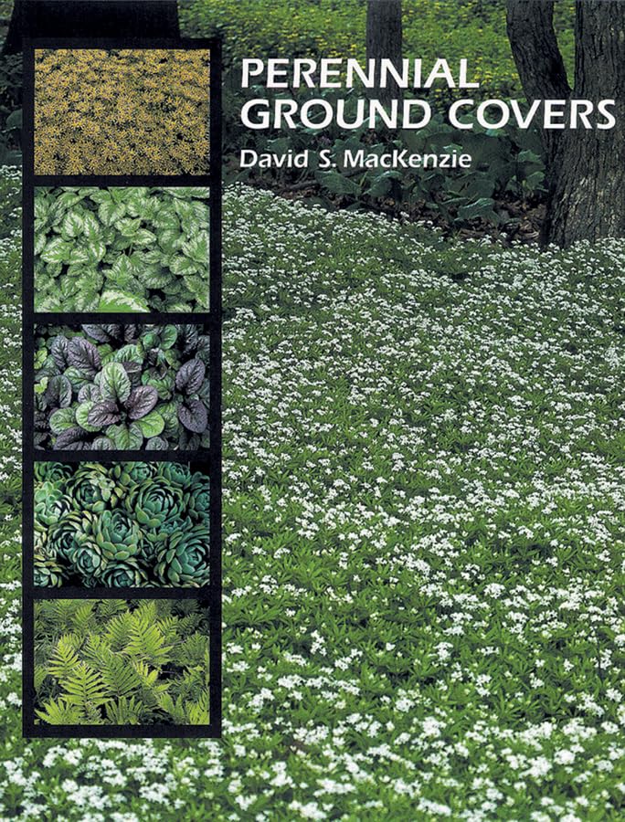 Perennial Ground Covers book cover