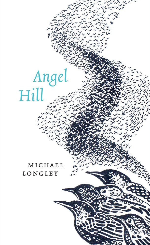 Angel Hill book cover