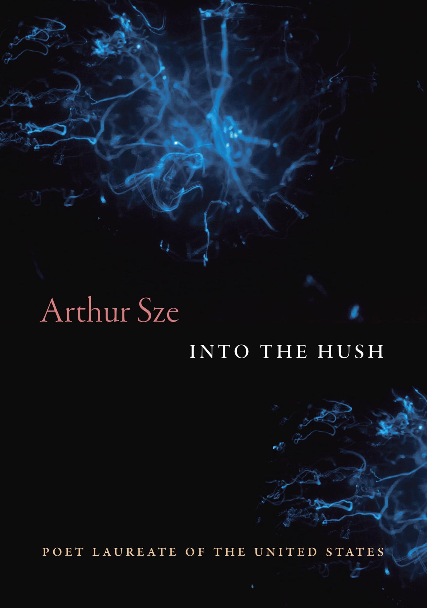Into the Hush book cover