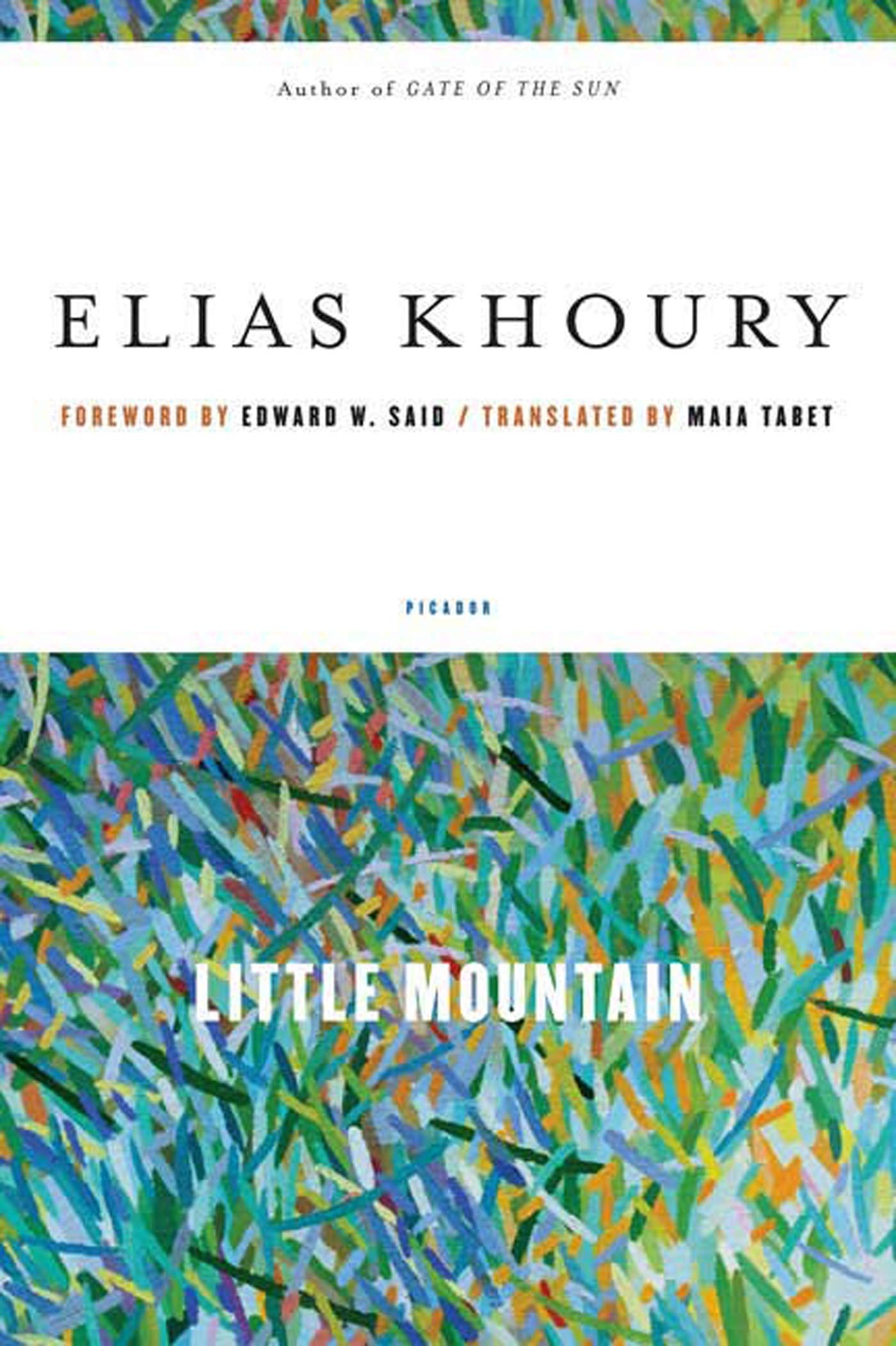 Little Mountain book cover