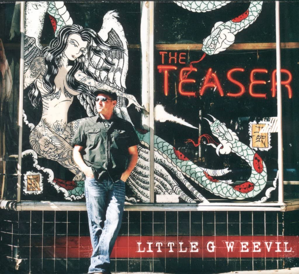 The Teaser book cover