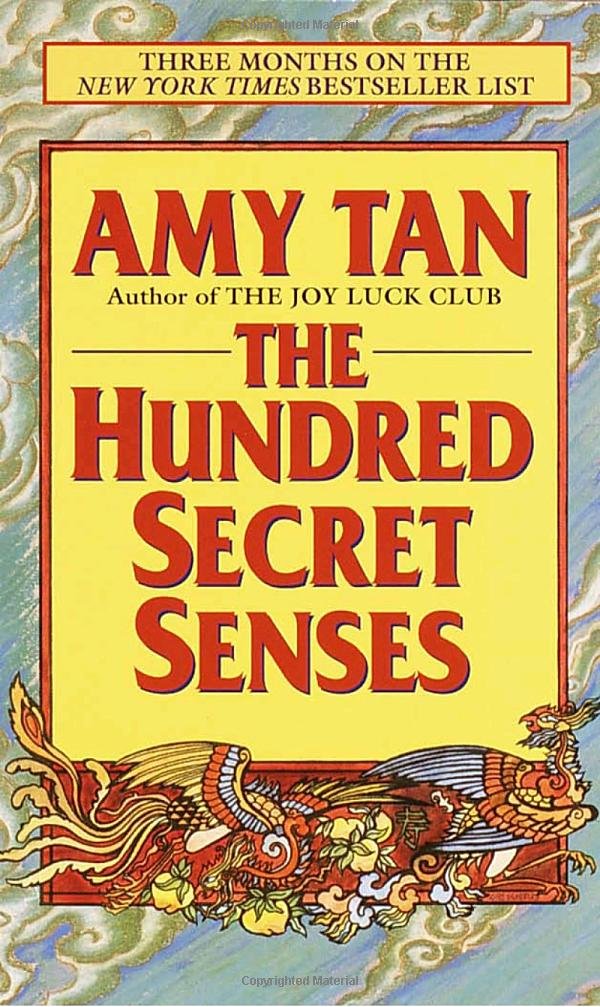 The Hundred Secret Senses book cover