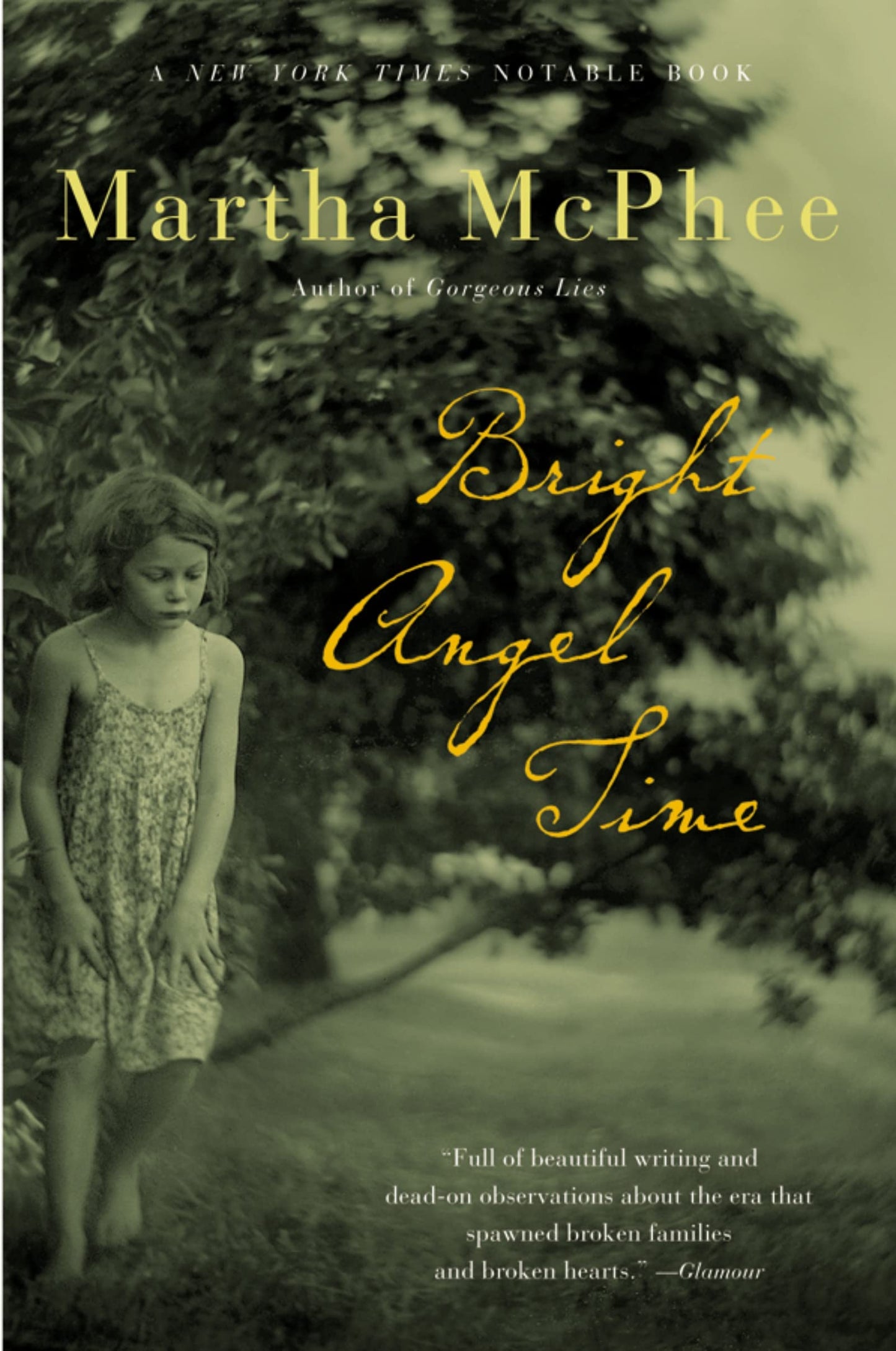 Bright Angel Time book cover