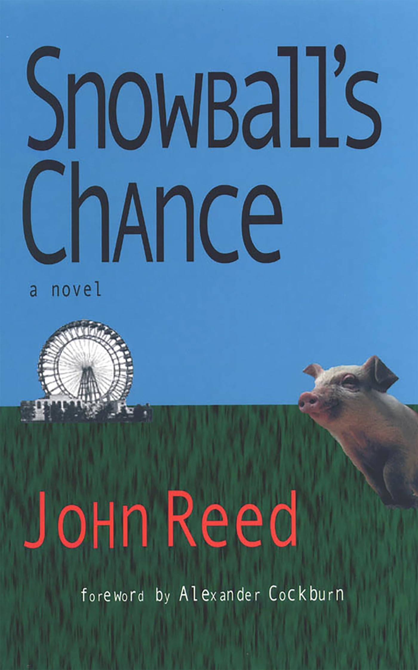 Snowball's Chance book cover