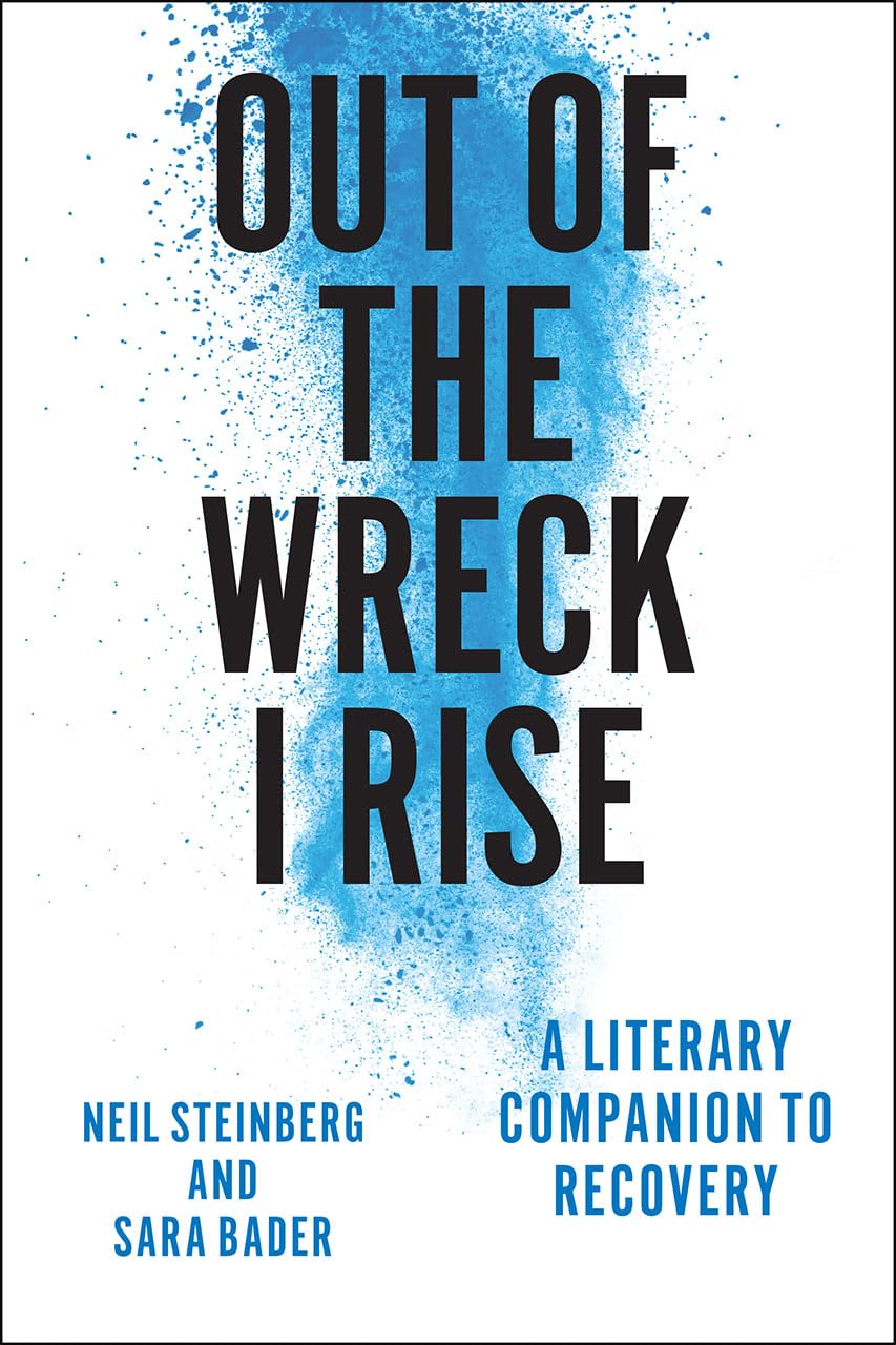 Out of the Wreck I Rise: A Literary Companion to Recovery book cover