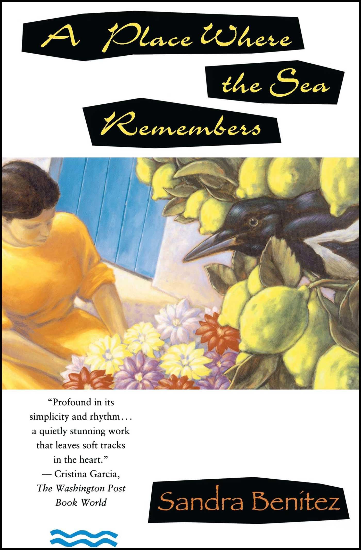 Place Where the Sea Remembers book cover