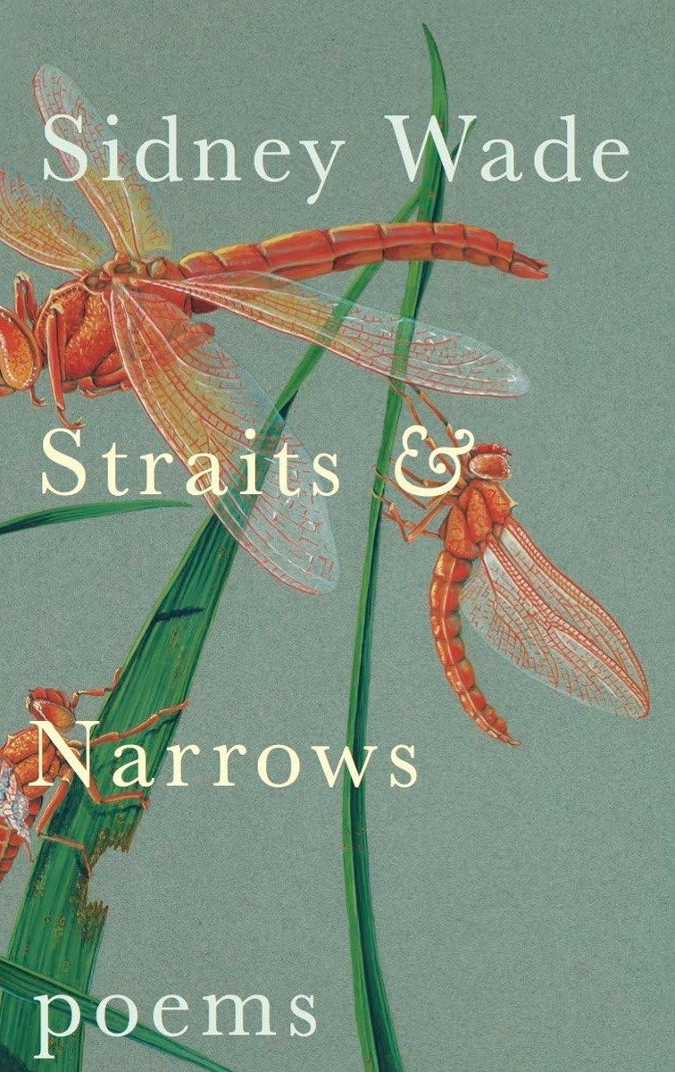 Straits & Narrows book cover