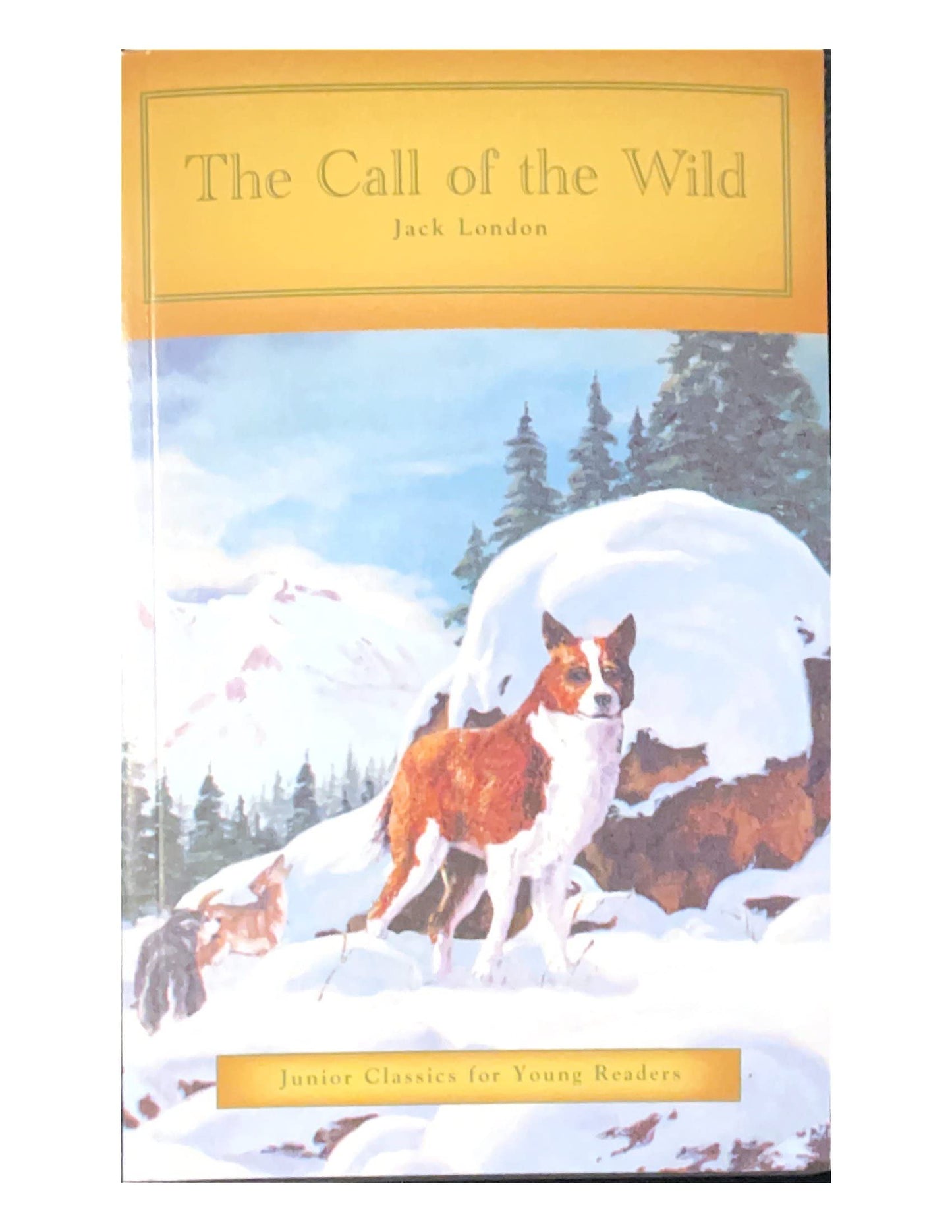 The Call of the Wild (Junior Classics for Young Readers) book cover