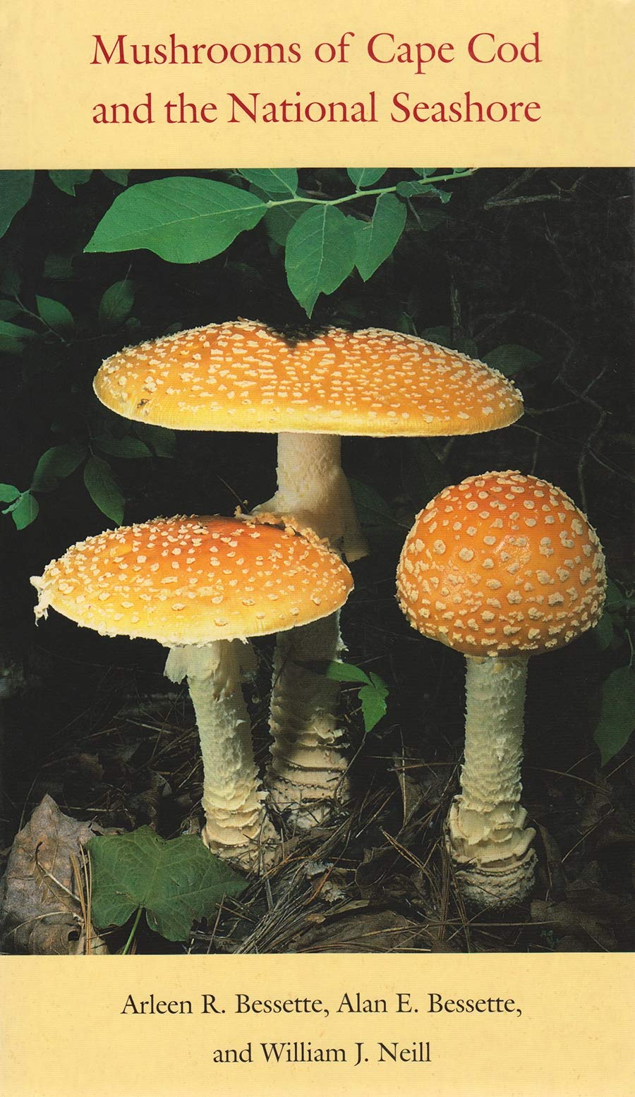 Mushrooms of Cape Cod and the National Seashore book cover