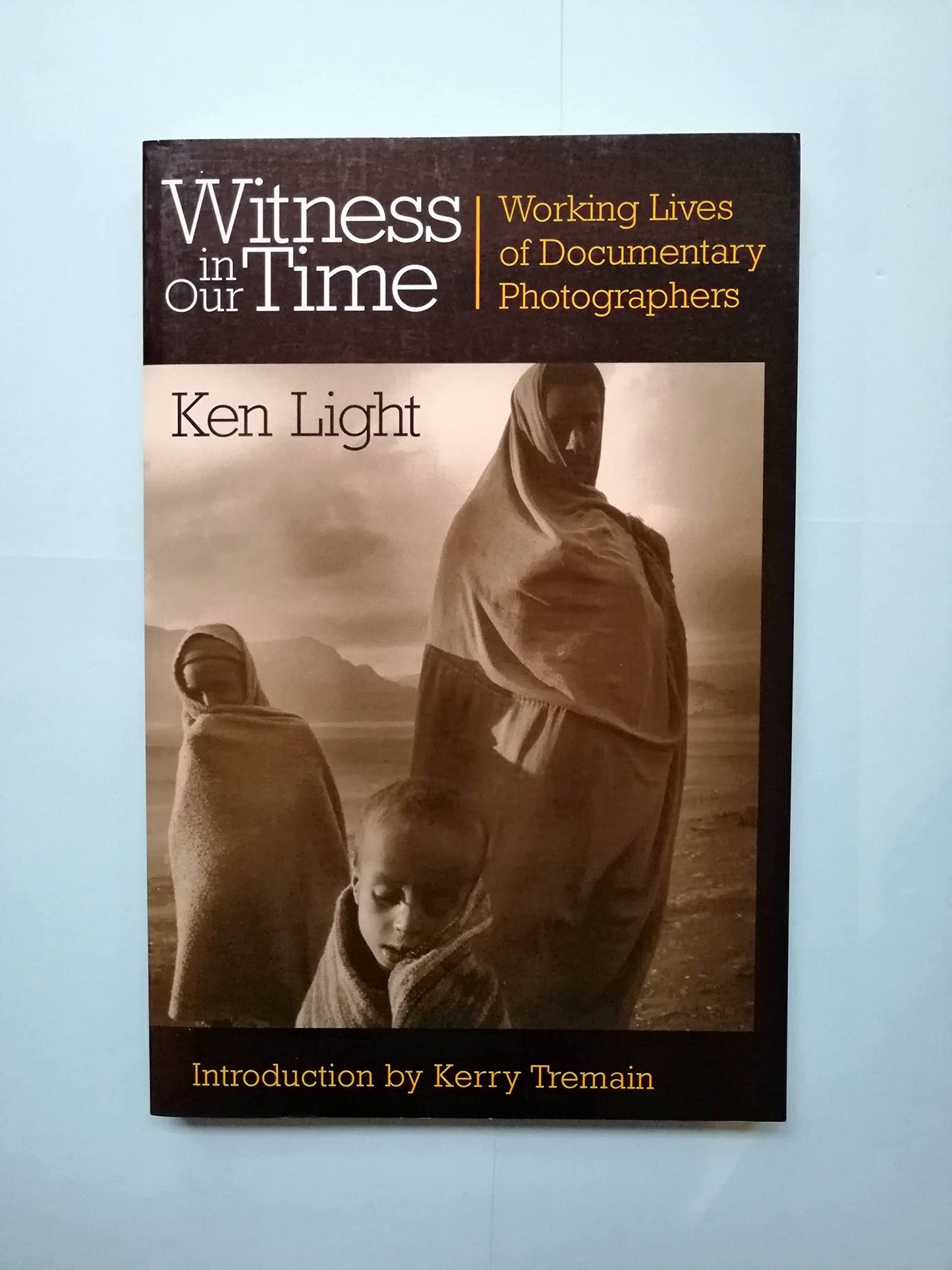 Witness in Our Time: Working Lives of Documentary Photographers book cover